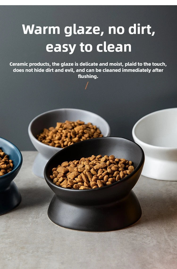 Elevated 15° Tilted Raised Food Feeding Dish Bowl