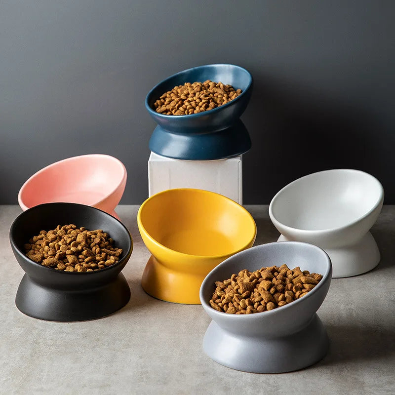 Elevated 15° Tilted Raised Food Feeding Dish Bowl
