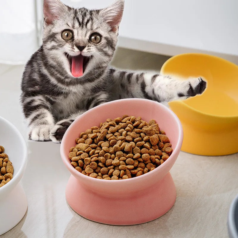 Elevated 15° Tilted Raised Food Feeding Dish Bowl