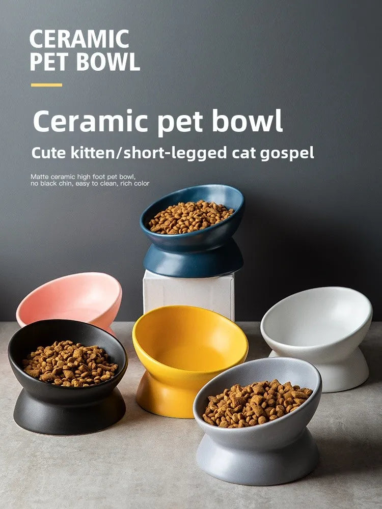 Elevated 15° Tilted Raised Food Feeding Dish Bowl