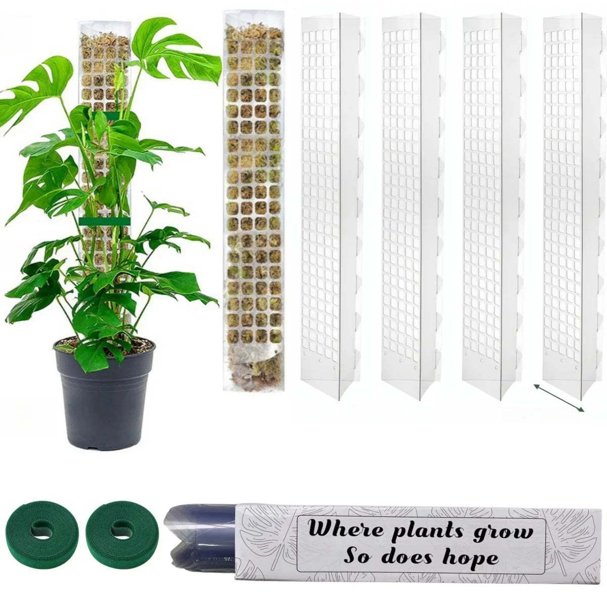 Moss Pole Plastic Plant Stand