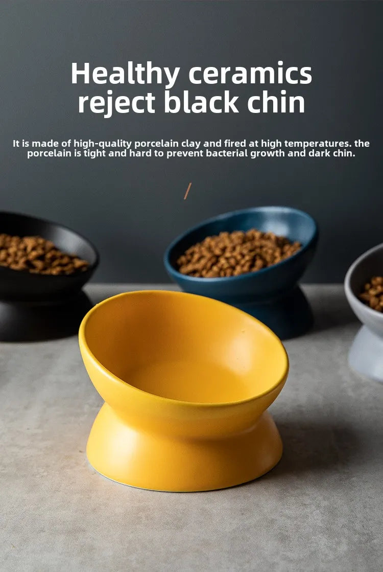 Elevated 15° Tilted Raised Food Feeding Dish Bowl