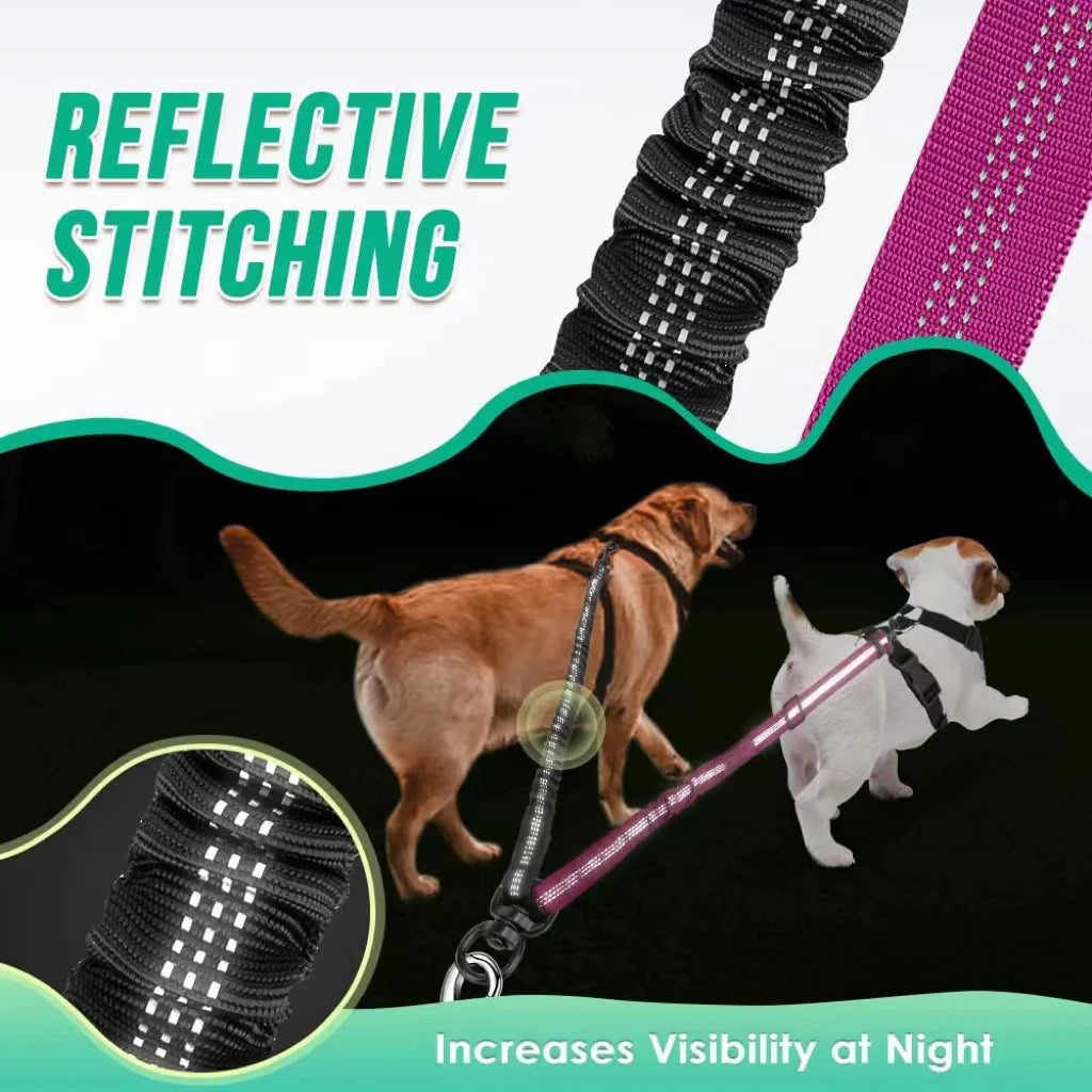 16ft Long Dual Pet Dog Cat Leash Adjustable Strap