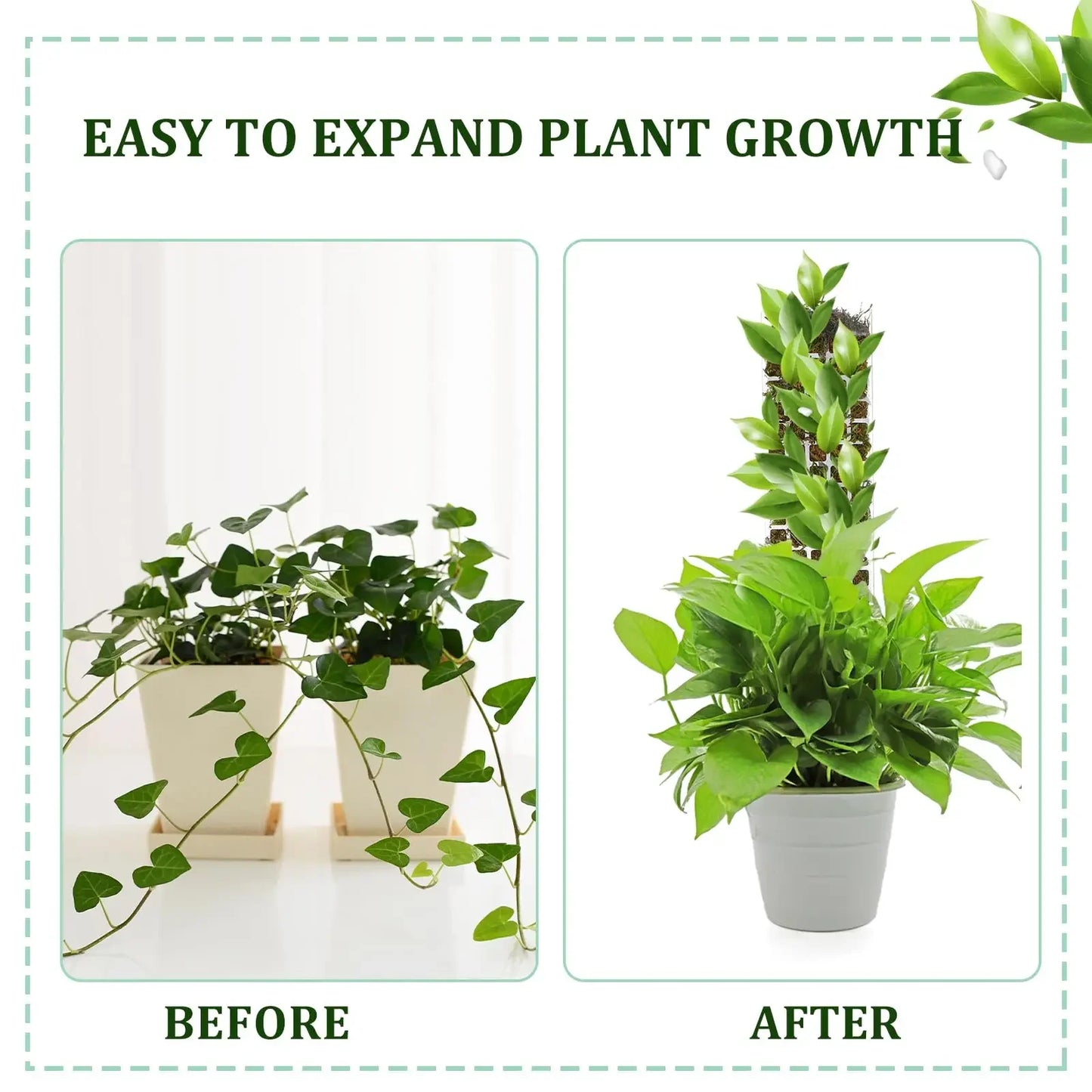 Moss Pole Plastic Plant Stand