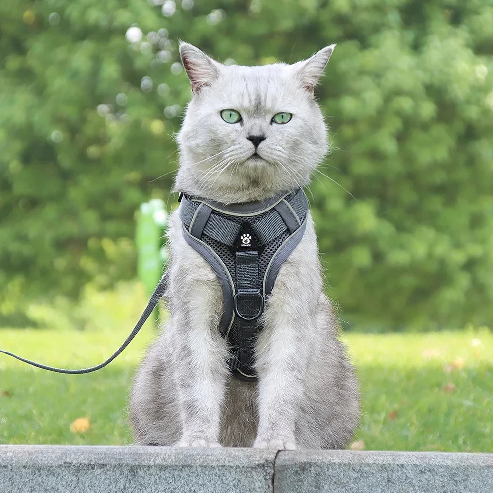 Pet Cat Harness and Leash Set