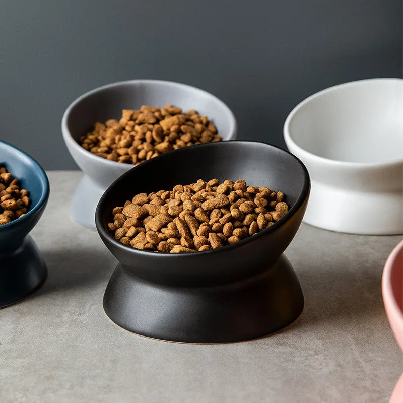 Elevated 15° Tilted Raised Food Feeding Dish Bowl