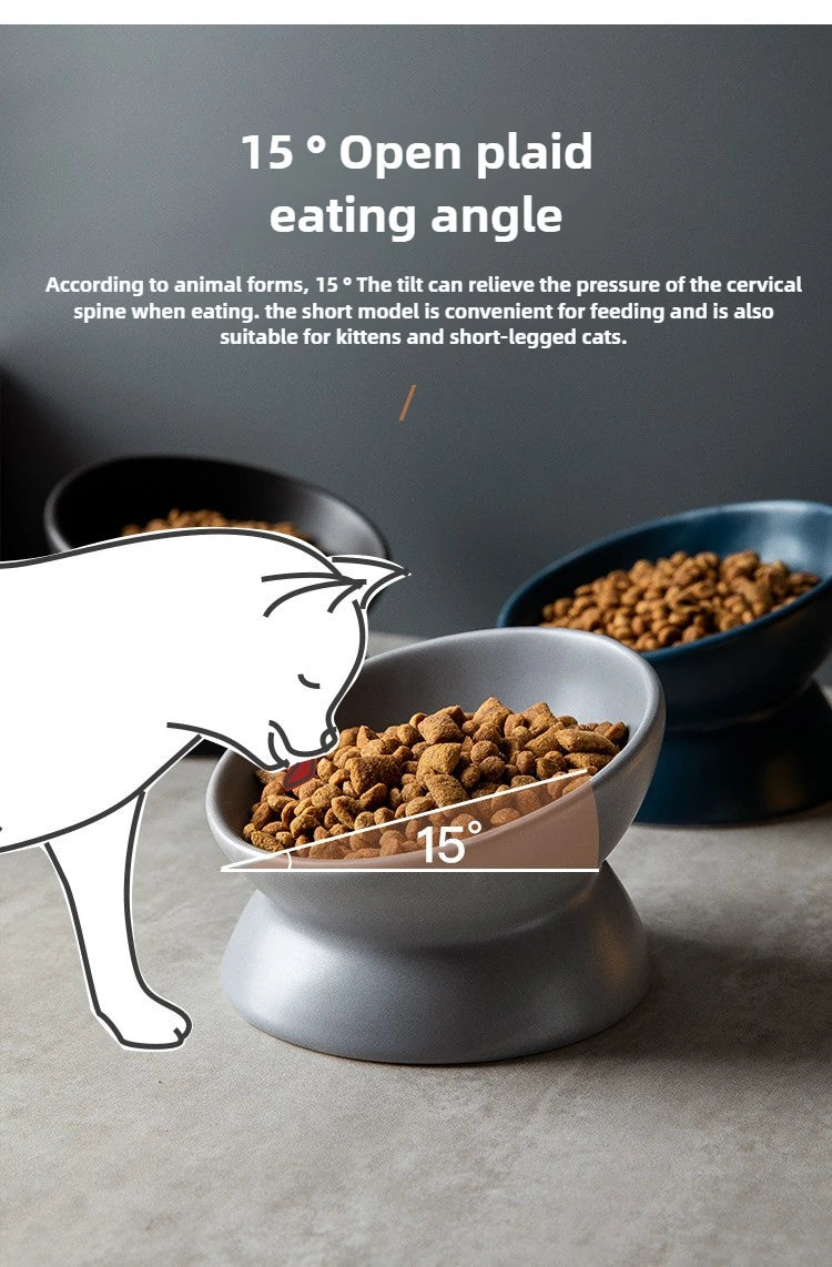 Elevated 15° Tilted Raised Food Feeding Dish Bowl