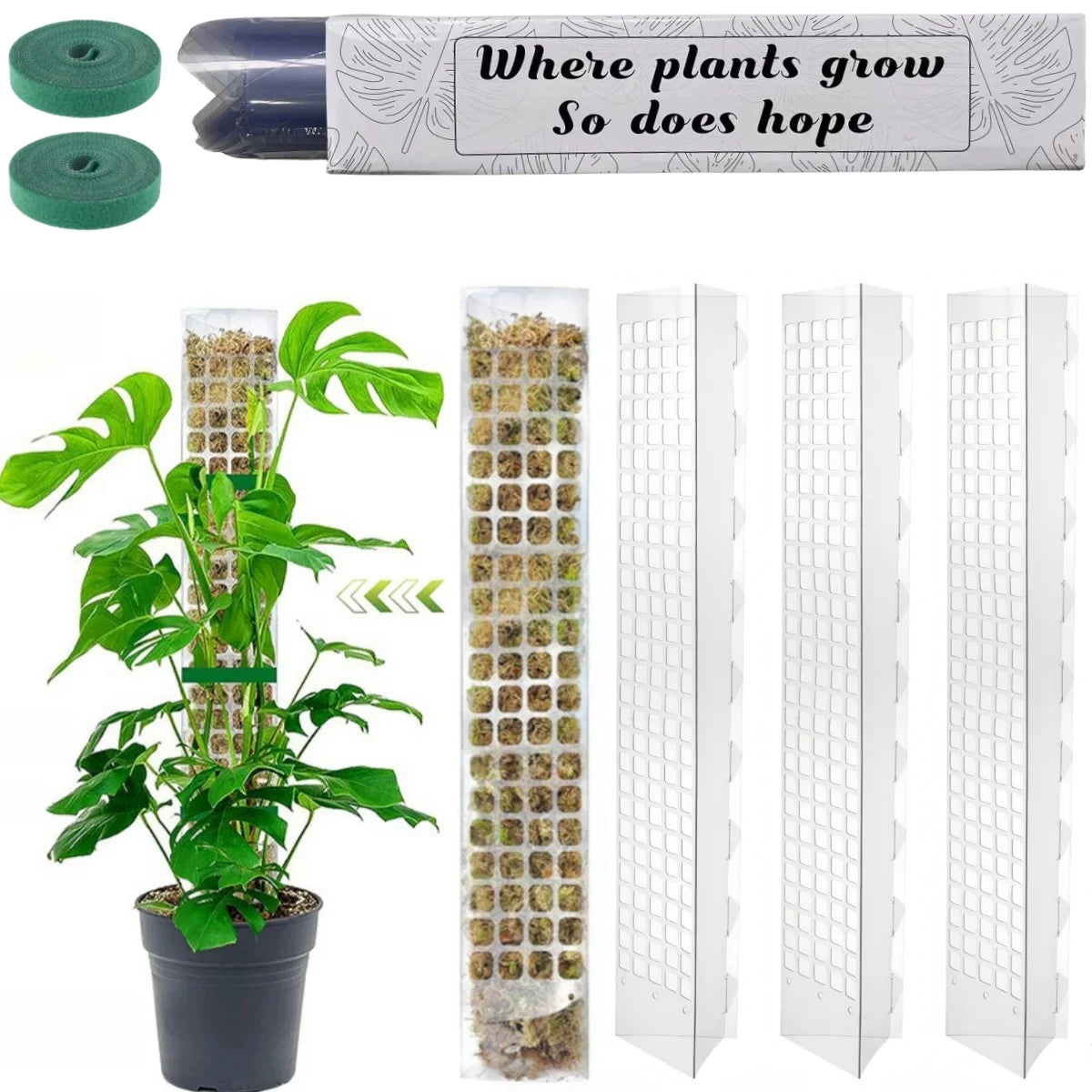 Moss Pole Plastic Plant Stand