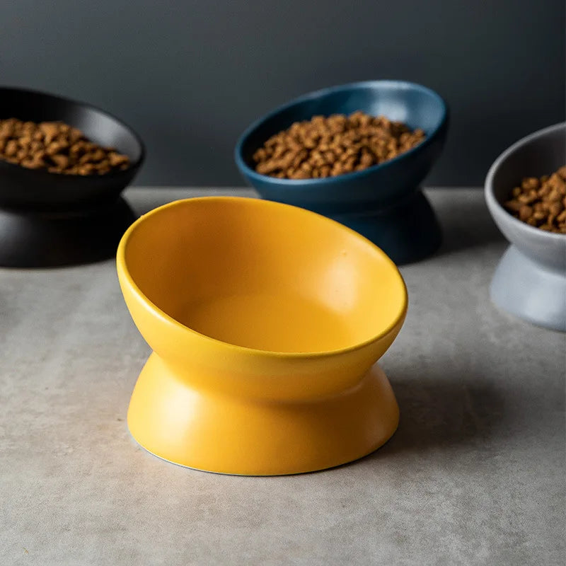 Elevated 15° Tilted Raised Food Feeding Dish Bowl