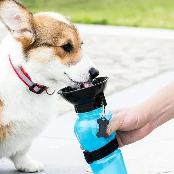 500ml Portable Pet Cat Dog Water Bottle