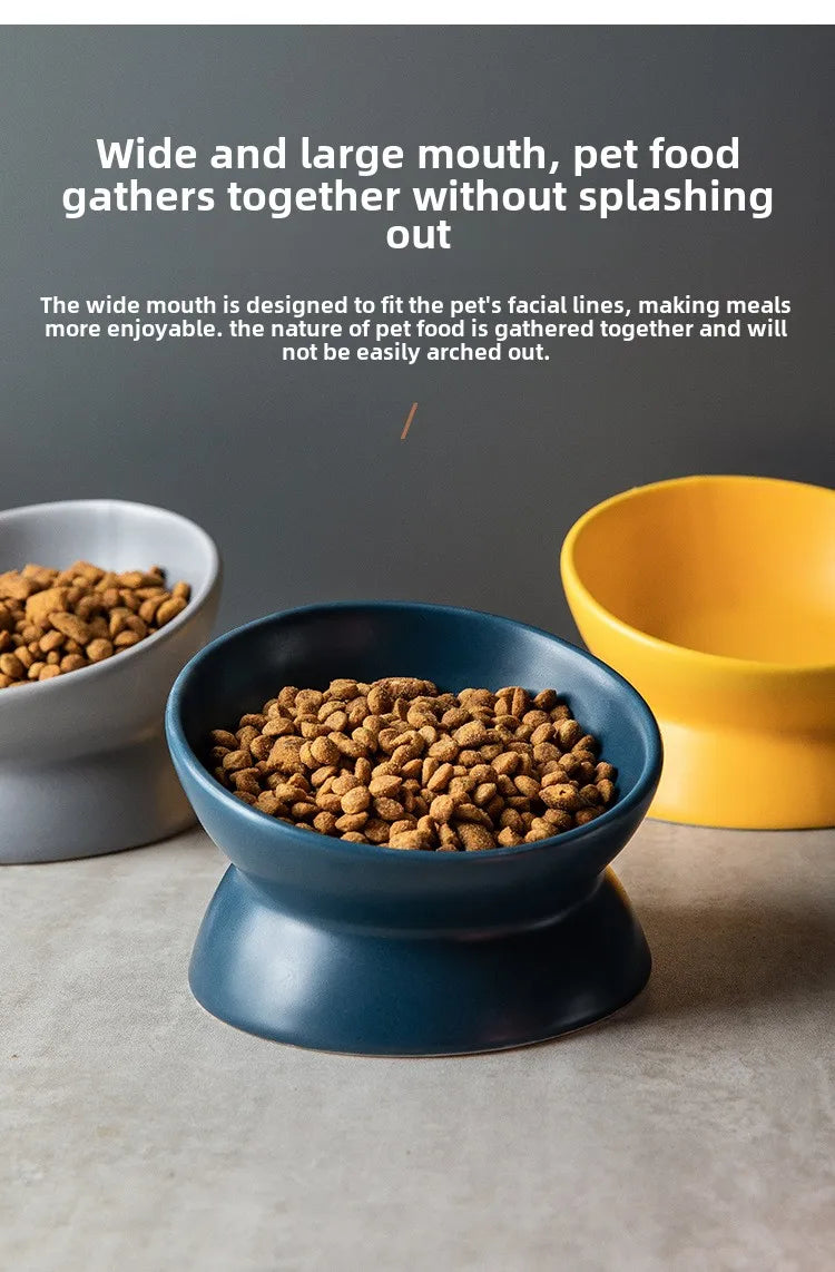 Elevated 15° Tilted Raised Food Feeding Dish Bowl