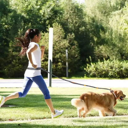Pet Cat Dog Hands-Free Leash Adjustable