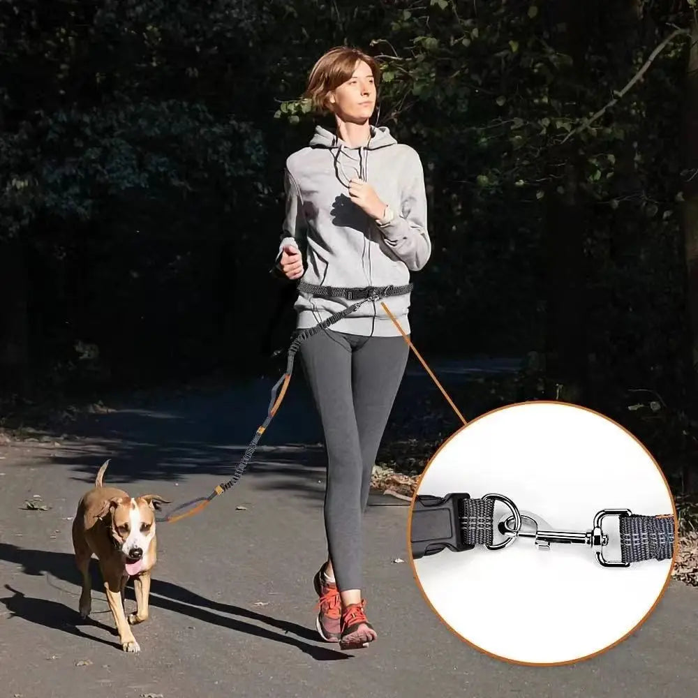 Pet Cat Dog Hands-Free Leash Adjustable