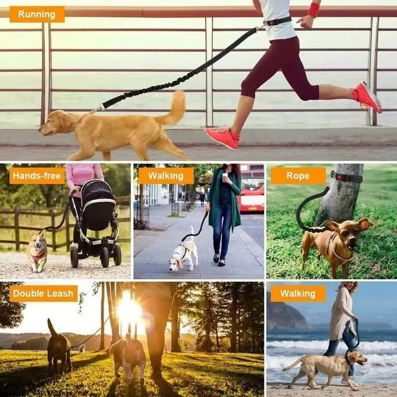 Pet Cat Dog Hands-Free Leash Adjustable
