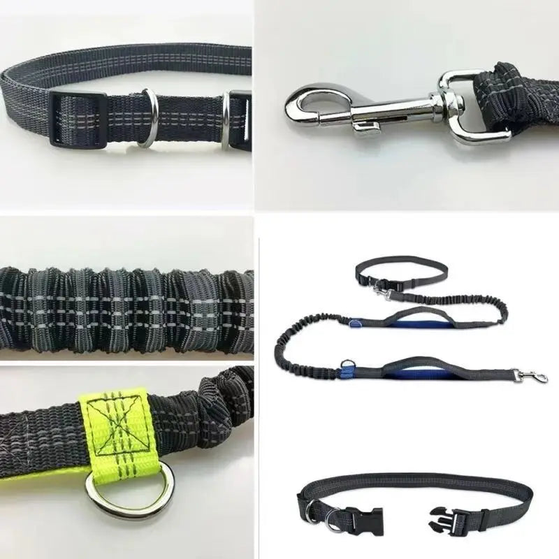 Pet Cat Dog Hands-Free Leash Adjustable