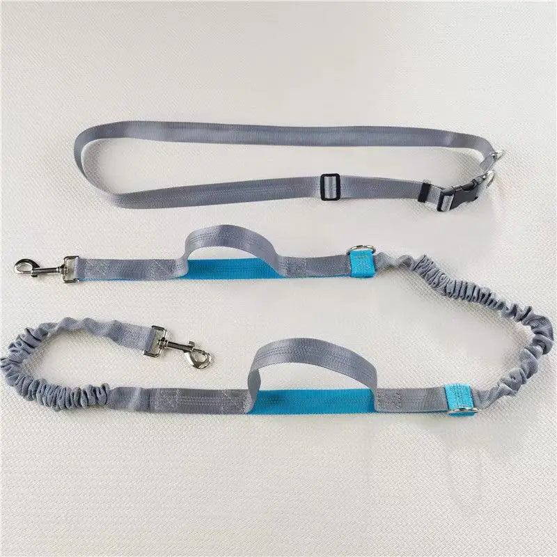 Pet Cat Dog Hands-Free Leash Adjustable