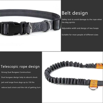 Pet Cat Dog Hands-Free Leash Adjustable