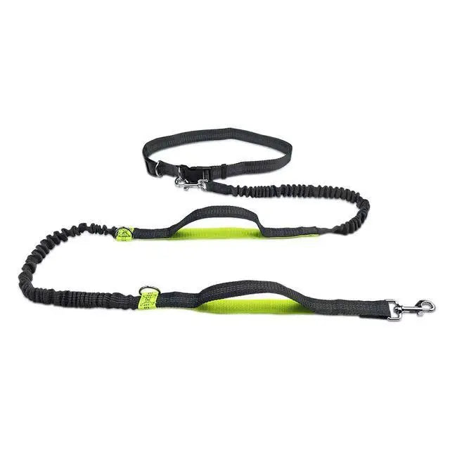 Pet Cat Dog Hands-Free Leash Adjustable
