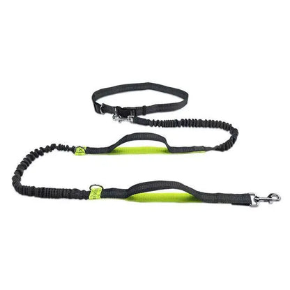 Pet Cat Dog Hands-Free Leash Adjustable