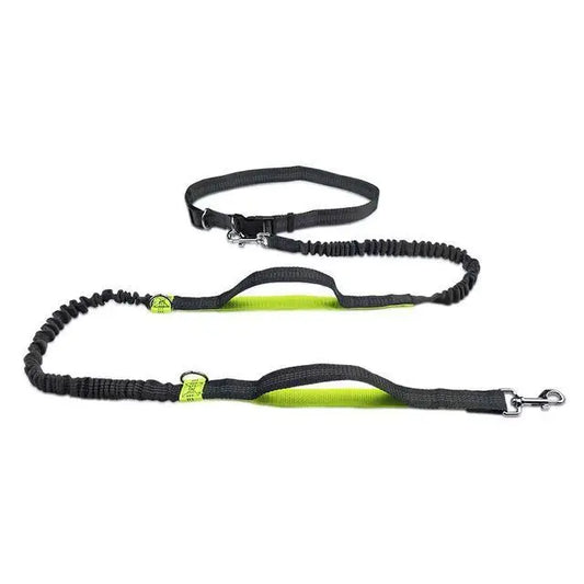 Pet Cat Dog Hands-Free Leash Adjustable