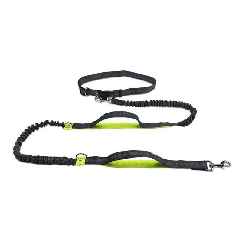 Pet Cat Dog Hands-Free Leash Adjustable