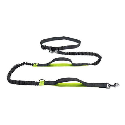 Pet Cat Dog Hands-Free Leash Adjustable