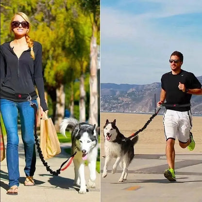 Pet Cat Dog Hands-Free Leash Adjustable
