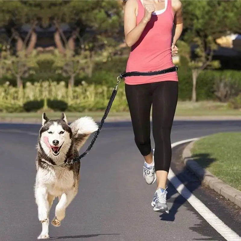 Pet Cat Dog Hands-Free Leash Adjustable