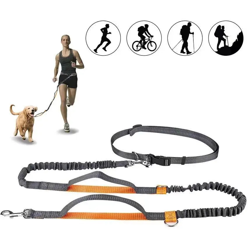 Pet Cat Dog Hands-Free Leash Adjustable
