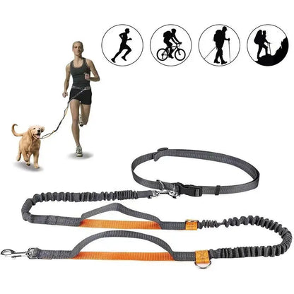 Pet Cat Dog Hands-Free Leash Adjustable