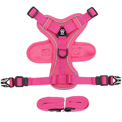 Pet Cat Harness and Leash Set