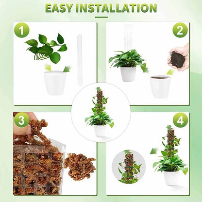 Moss Pole Plastic Plant Stand