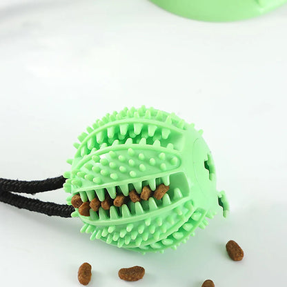 Pet Dogs Grinding Their Teeth Chewing Pet Toys With Sound