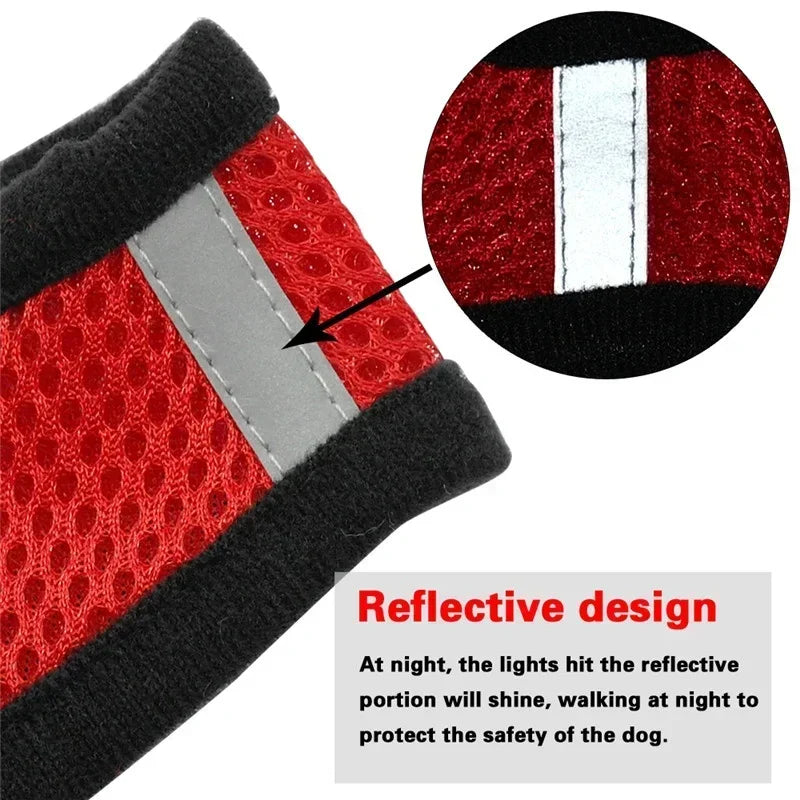 Pet Cat Harness Leash Adjustable