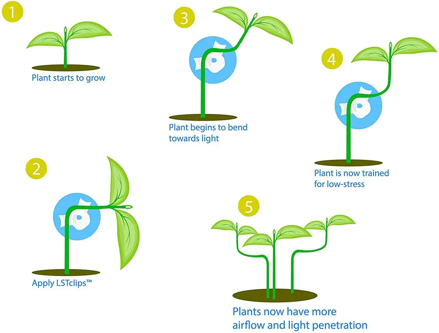 Plant Branches Bender Training Clips