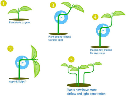 Plant Branches Bender Training Clips