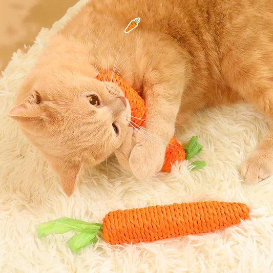 Pet Cat Make Sounds, Carrots, Self-sex, Teething Sticks