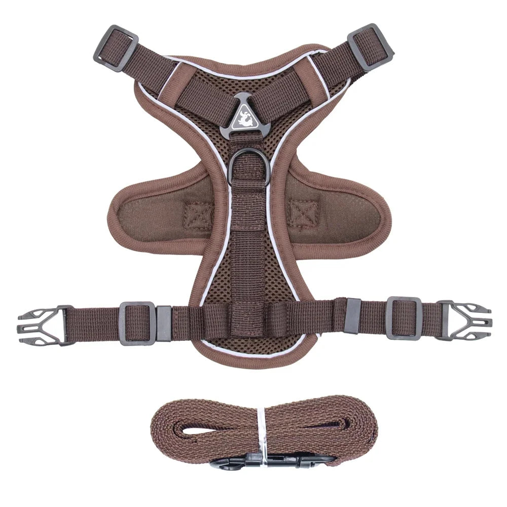 Pet Cat Harness and Leash Set