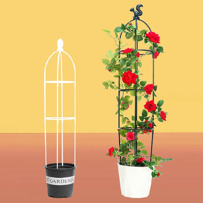 Climbing Plant Trellis Garden Support Cages For Flowers
