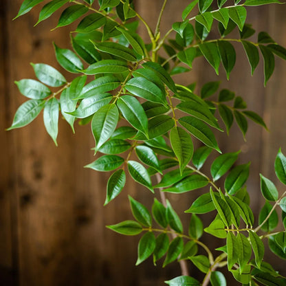 Fake Lacquer Tree Plastic Banyan Plants