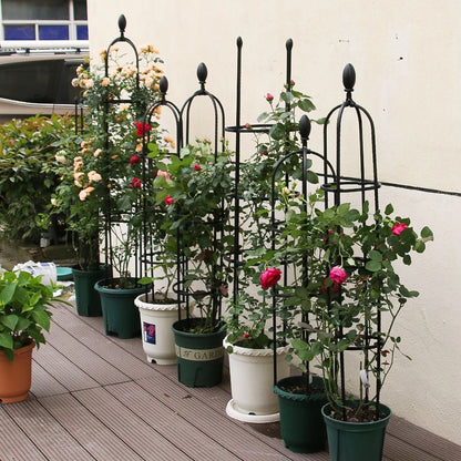 Climbing Plant Trellis Garden Support Cages For Flowers