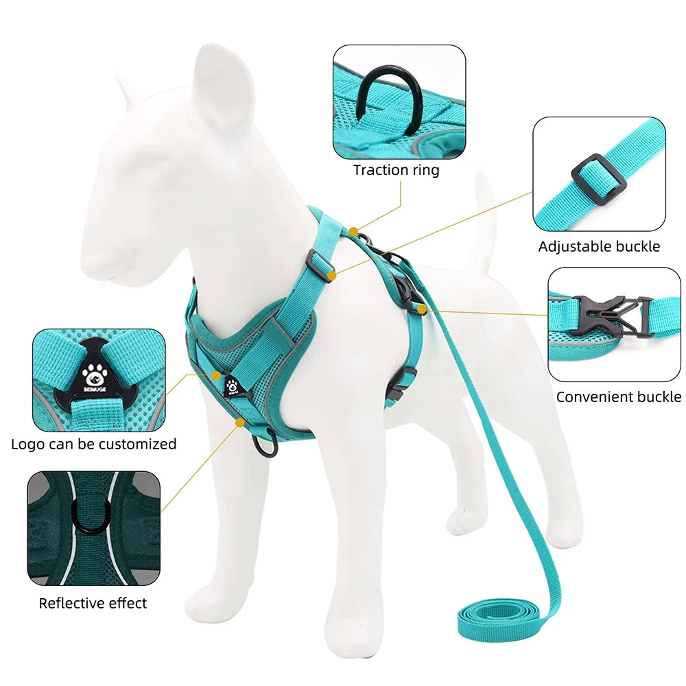 Pet Cat Harness and Leash Set