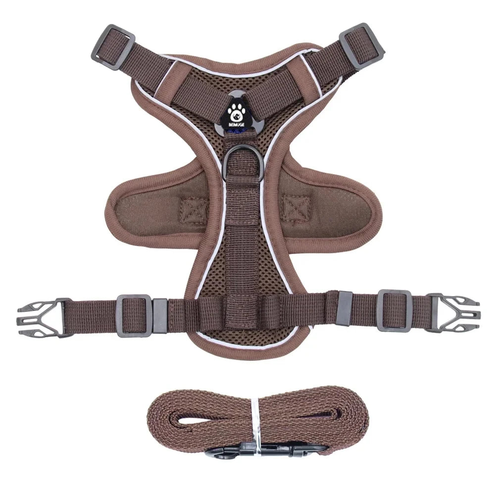 Pet Cat Harness and Leash Set