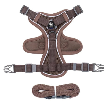 Pet Cat Harness and Leash Set
