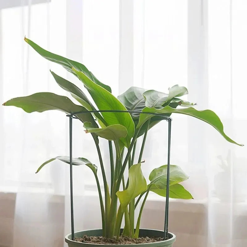 6pcs Tall Plant Support Stakes