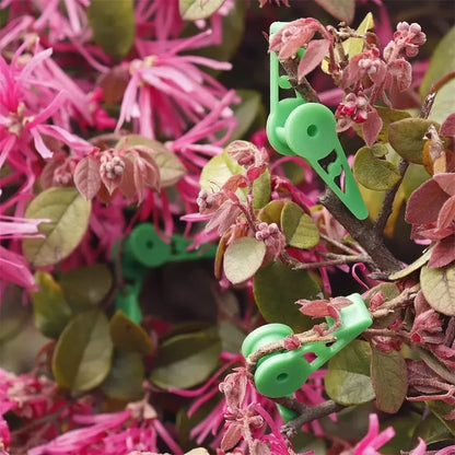 Plant Branches Bender Training Clips