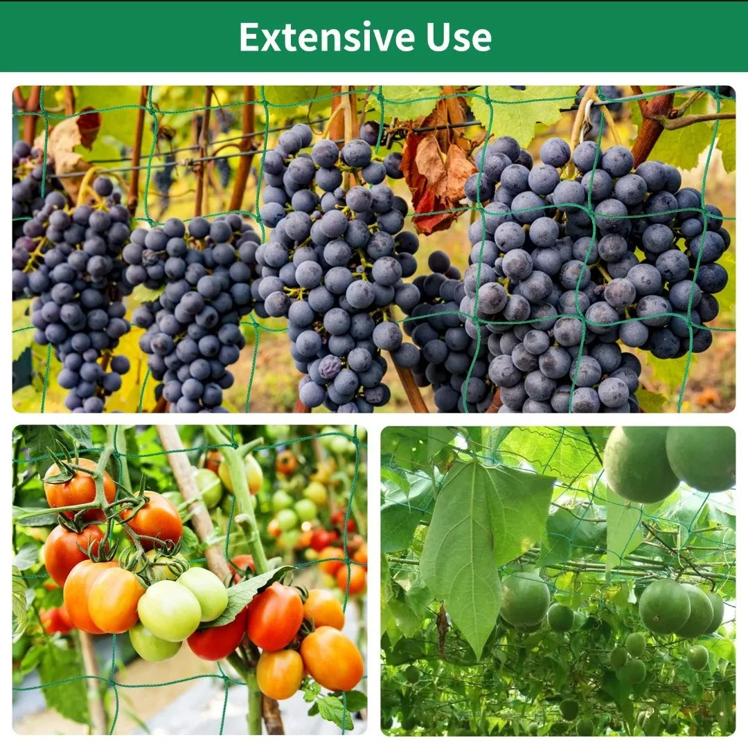Plant Trellis Pergolas, Heavy-Duty Polyester Grow Net