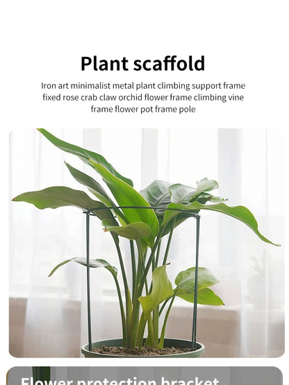 6pcs Tall Plant Support Stakes