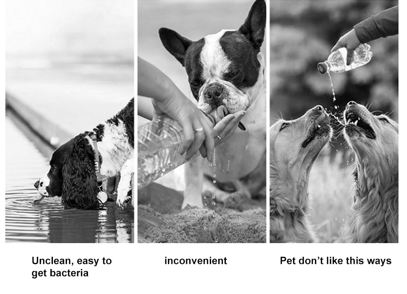 2 In 1 Portable Pet Dog Water Bottle
