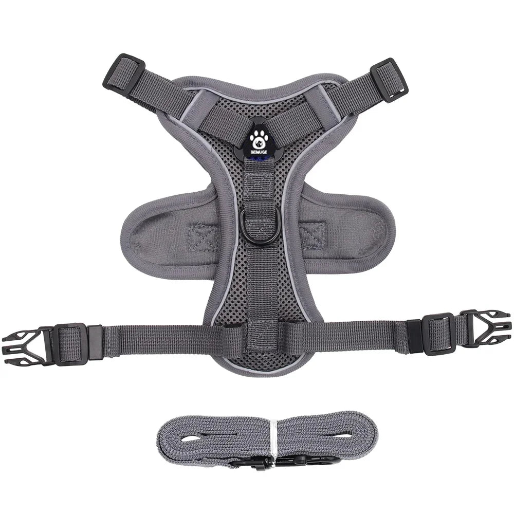 Pet Cat Harness and Leash Set
